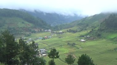 Vietnam dağındaki pirinç tarlaları