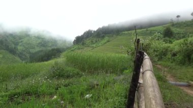 Vietnam dağındaki pirinç tarlaları