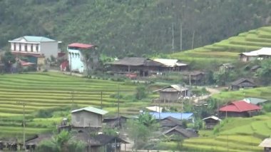 Vietnam dağındaki pirinç tarlaları