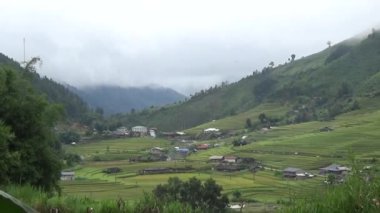 Vietnam dağındaki pirinç tarlaları