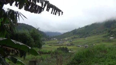 Vietnam dağındaki pirinç tarlaları