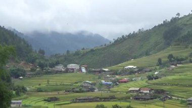 Vietnam dağındaki pirinç tarlaları
