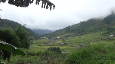 Vietnam dağındaki pirinç tarlaları