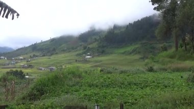 Vietnam dağındaki pirinç tarlaları