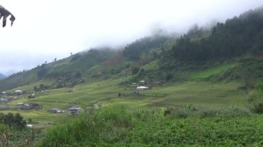 Vietnam dağındaki pirinç tarlaları