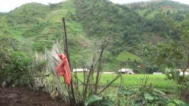 Vietnam dağındaki pirinç tarlaları