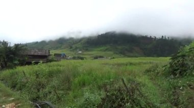 Vietnam dağındaki pirinç tarlaları