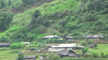 Vietnam dağındaki pirinç tarlaları