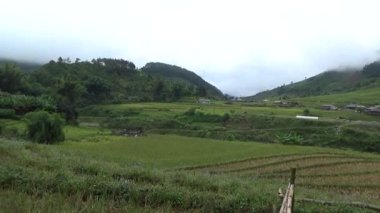 Vietnam dağındaki pirinç tarlaları
