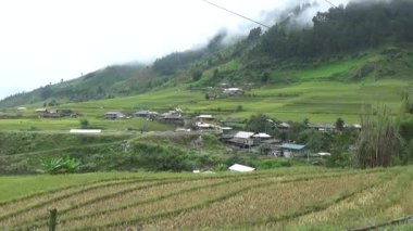 Vietnam dağındaki pirinç tarlaları
