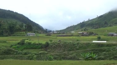 Vietnam dağındaki pirinç tarlaları