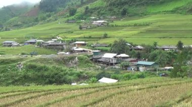 Vietnam dağındaki pirinç tarlaları