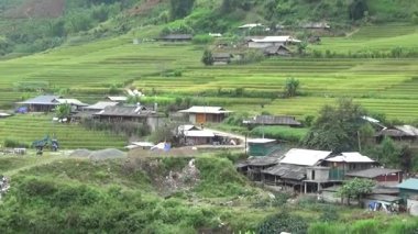 Vietnam dağındaki pirinç tarlaları