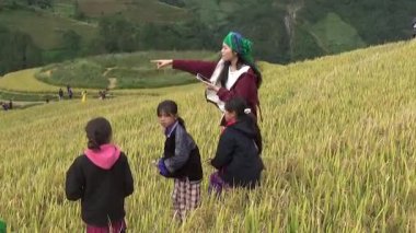 28 Ekim 2025. Mu Cang Chai, Yen Bai, Vietnam. Vietnam 'daki pirinç tarlalarında dağ çiftçileri
