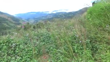 28 Ekim 2025. Mu Cang Chai, Yen Bai, Vietnam. Vietnam 'daki pirinç tarlalarında dağ çiftçileri