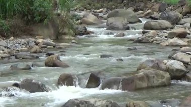 Bir sürü büyük kayası olan bir dere.