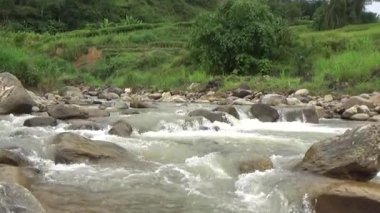 Bir sürü büyük kayası olan bir dere.