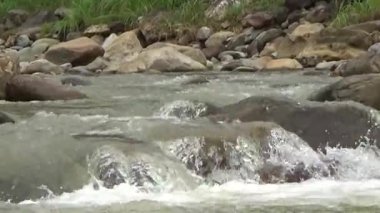 Bir sürü büyük kayası olan bir dere.