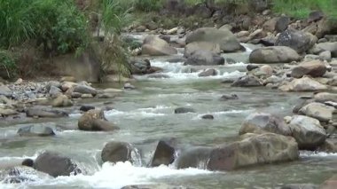 Bir sürü büyük kayası olan bir dere.