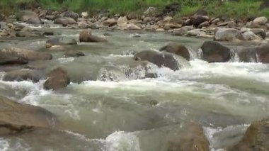 Bir sürü büyük kayası olan bir dere.