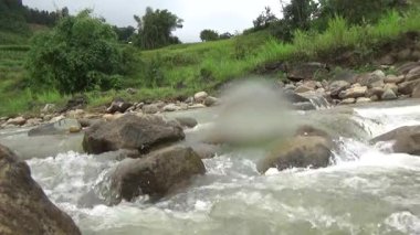 Bir sürü büyük kayası olan bir dere.