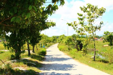 16 Eylül 2025. Pha Tam Giang, Hue, Vietnam. Doğal bir nehirde tekne gezisi. Balıkçılar teknede balık, karides, midye ızgara yapar.