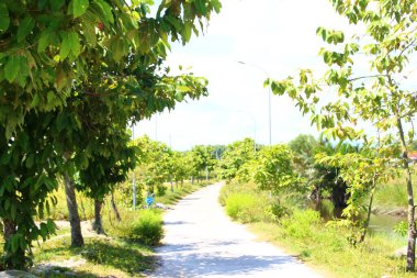 16 Eylül 2025. Pha Tam Giang, Hue, Vietnam. Doğal bir nehirde tekne gezisi. Balıkçılar teknede balık, karides, midye ızgara yapar.