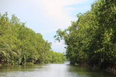 16 Eylül 2025. Pha Tam Giang, Hue, Vietnam. Doğal bir nehirde tekne gezisi. Balıkçılar teknede balık, karides, midye ızgara yapar.