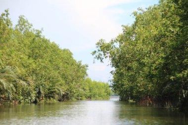 16 Eylül 2025. Pha Tam Giang, Hue, Vietnam. Doğal bir nehirde tekne gezisi. Balıkçılar teknede balık, karides, midye ızgara yapar.