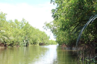 16 Eylül 2025. Pha Tam Giang, Hue, Vietnam. Doğal bir nehirde tekne gezisi. Balıkçılar teknede balık, karides, midye ızgara yapar.