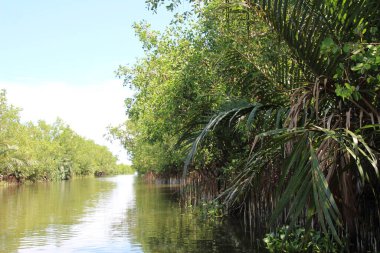 16 Eylül 2025. Pha Tam Giang, Hue, Vietnam. Doğal bir nehirde tekne gezisi. Balıkçılar teknede balık, karides, midye ızgara yapar.