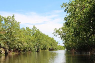 16 Eylül 2025. Pha Tam Giang, Hue, Vietnam. Doğal bir nehirde tekne gezisi. Balıkçılar teknede balık, karides, midye ızgara yapar.