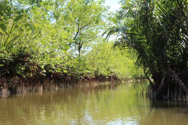 16 Eylül 2025. Pha Tam Giang, Hue, Vietnam. Doğal bir nehirde tekne gezisi. Balıkçılar teknede balık, karides, midye ızgara yapar.