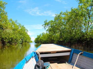 16 Eylül 2025. Pha Tam Giang, Hue, Vietnam. Doğal bir nehirde tekne gezisi. Balıkçılar teknede balık, karides, midye ızgara yapar.