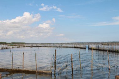 16 Eylül 2025. Pha Tam Giang, Hue, Vietnam. Doğal bir nehirde tekne gezisi. Balıkçılar teknede balık, karides, midye ızgara yapar.