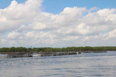 16 Eylül 2025. Pha Tam Giang, Hue, Vietnam. Doğal bir nehirde tekne gezisi. Balıkçılar teknede balık, karides, midye ızgara yapar.