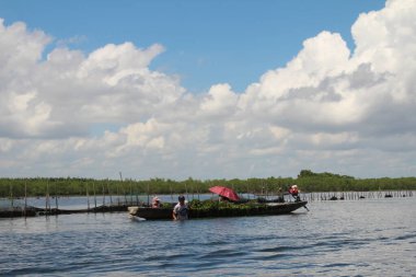 16 Eylül 2025. Pha Tam Giang, Hue, Vietnam. Doğal bir nehirde tekne gezisi. Balıkçılar teknede balık, karides, midye ızgara yapar.