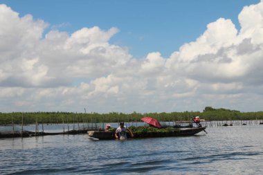 16 Eylül 2025. Pha Tam Giang, Hue, Vietnam. Doğal bir nehirde tekne gezisi. Balıkçılar teknede balık, karides, midye ızgara yapar.