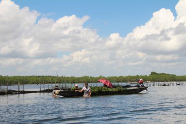 16 Eylül 2025. Pha Tam Giang, Hue, Vietnam. Doğal bir nehirde tekne gezisi. Balıkçılar teknede balık, karides, midye ızgara yapar.