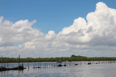 16 Eylül 2025. Pha Tam Giang, Hue, Vietnam. Doğal bir nehirde tekne gezisi. Balıkçılar teknede balık, karides, midye ızgara yapar.