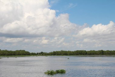 16 Eylül 2025. Pha Tam Giang, Hue, Vietnam. Doğal bir nehirde tekne gezisi. Balıkçılar teknede balık, karides, midye ızgara yapar.