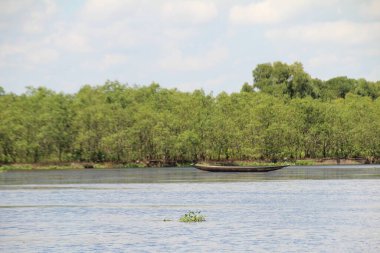 16 Eylül 2025. Pha Tam Giang, Hue, Vietnam. Doğal bir nehirde tekne gezisi. Balıkçılar teknede balık, karides, midye ızgara yapar.