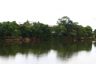 Ton, Vietnam.Doğal bir gölde kayıkla gezmek