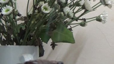 Asyalılar ruhani ayinler için tütsü sarıp yakarlar.