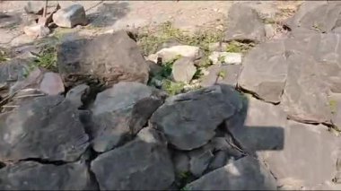 Vietnamlı kadın pirinç keki yapıyor.