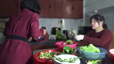 9 Şubat 2026. Chu Van An, Hai Phong, Vietnam. Betel yaprakları ve fındıklar. Kadın betel fındığı hazırlıyor.