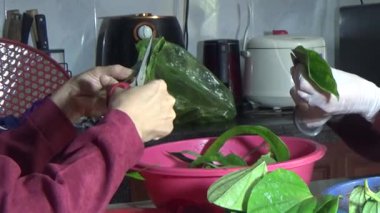 February 09, 2026. Chu Van An, Hai Phong, Vietnam. Betel leaves and areca nuts. the woman preparing betel nuts