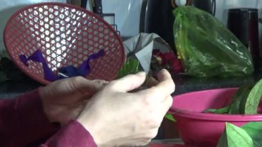 February 09, 2026. Chu Van An, Hai Phong, Vietnam. Betel leaves and areca nuts. the woman preparing betel nuts