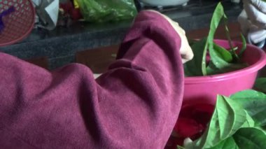 February 09, 2026. Chu Van An, Hai Phong, Vietnam. Betel leaves and areca nuts. the woman preparing betel nuts