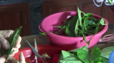 9 Şubat 2026. Chu Van An, Hai Phong, Vietnam. Betel yaprakları ve fındıklar. Kadın betel fındığı hazırlıyor.